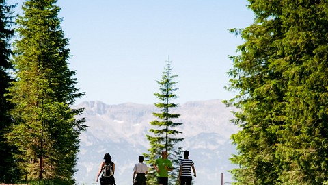 V naravi smo le gostje